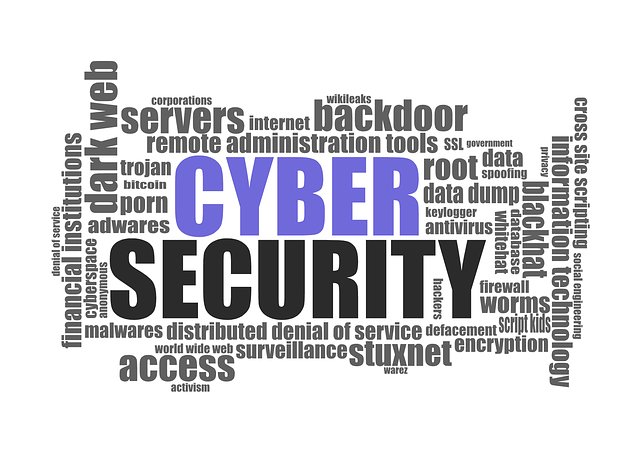 Swiss Cyber Security Solutions