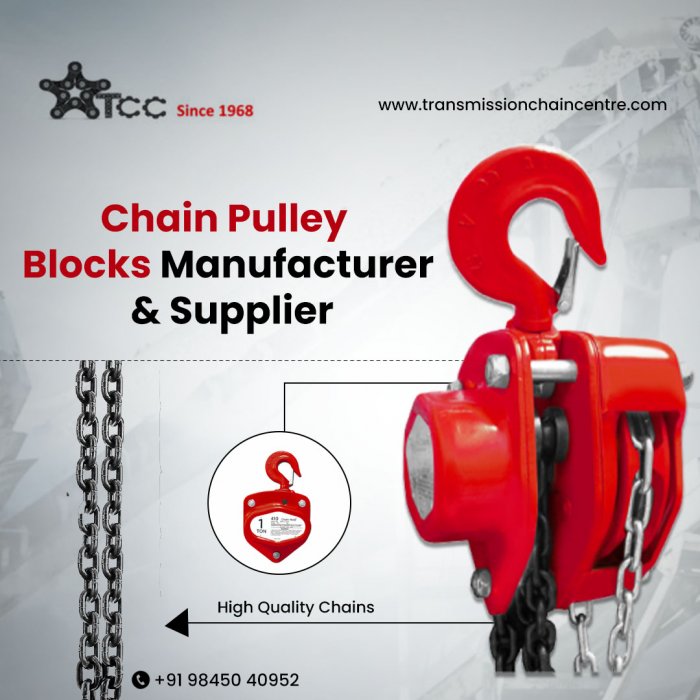 Chain Pulley Block Manufacturer & Supplier – TransmissionChainCentre.com