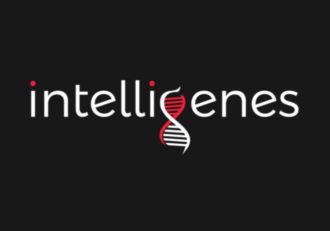 Intelligenes Company
