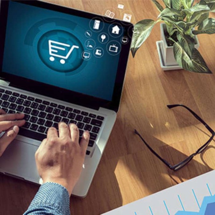 Elevate Your Business with IoVista`s Ecommerce Services