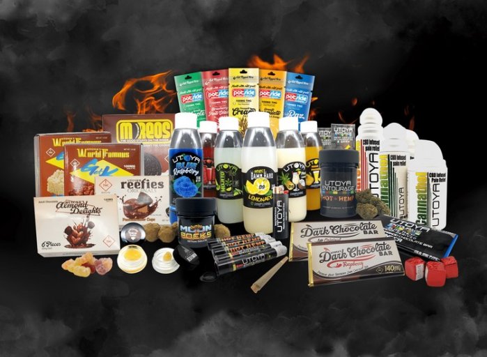 Get 15% OFF Premium Hemp Products + More!