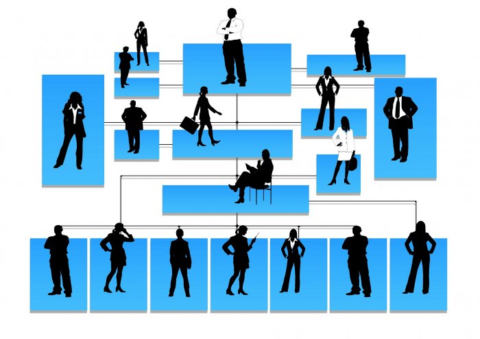 Org Chart Citigroup: Interactive, customized & actionable org charts
