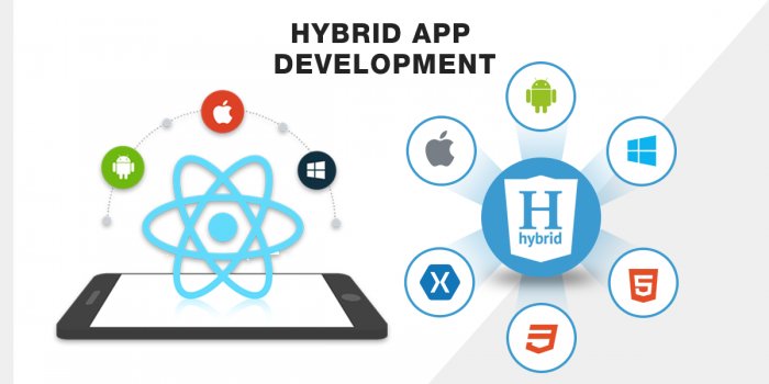 Hybrid App Development Services for Smooth Android & iOS User Experience