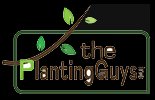 landscape design Mississauga