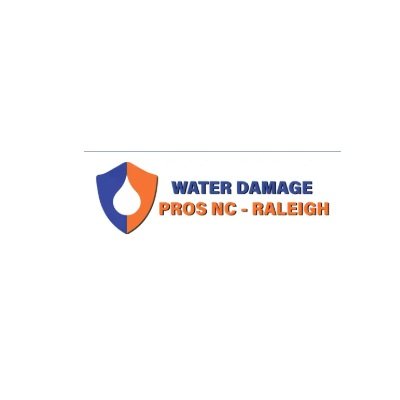 the Water Damage Pros Raleigh nc