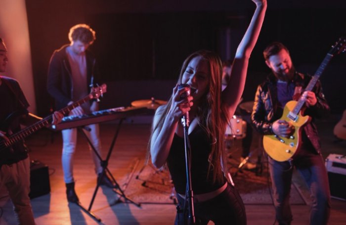 Music Band For Festival In Northern Virginia Celebration