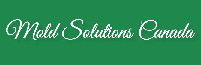 Mold Solutions Canada