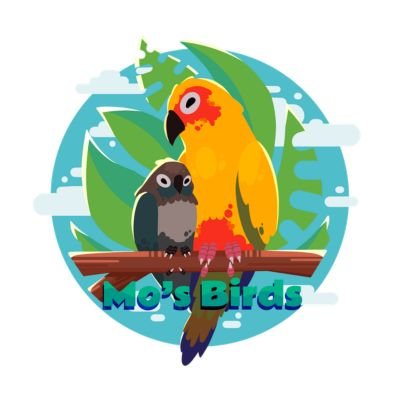 Mo`s Birds