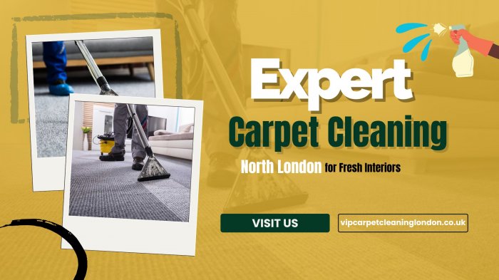 Expert Carpet Cleaning North London for Fresh Interiors