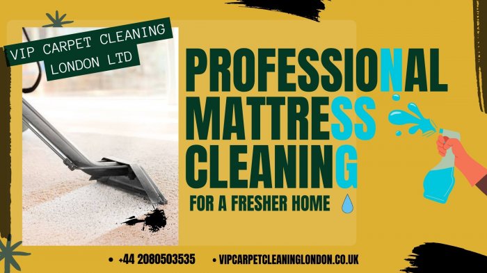Professional Mattress Cleaning for a Fresher Home