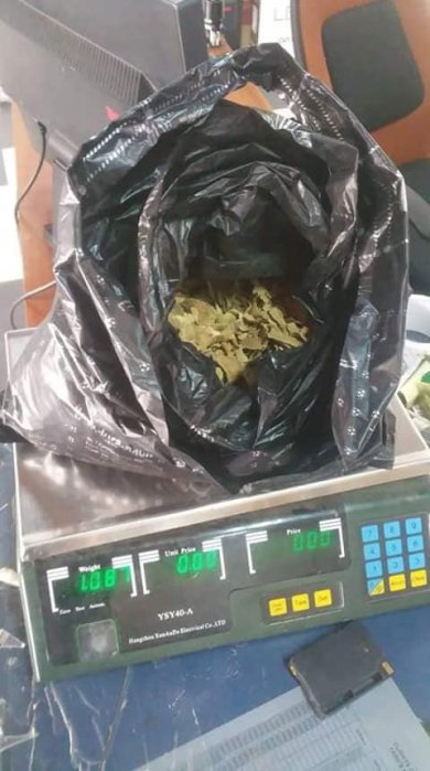Ibogaine in Klerksdorp +27835238775 Iboga for sale in Mahikeng, Mmabatho, Potchefstroom, Rustenburg