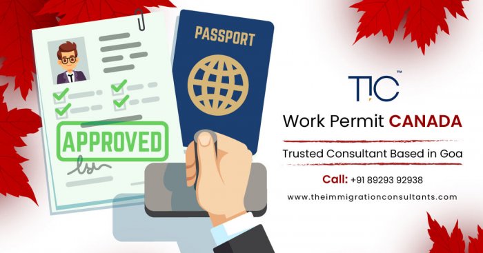Canada Immigration Consultants in Goa | Visa Agents | Theimmigrationconsultants.com