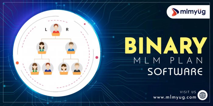 Best Binary Plan Software