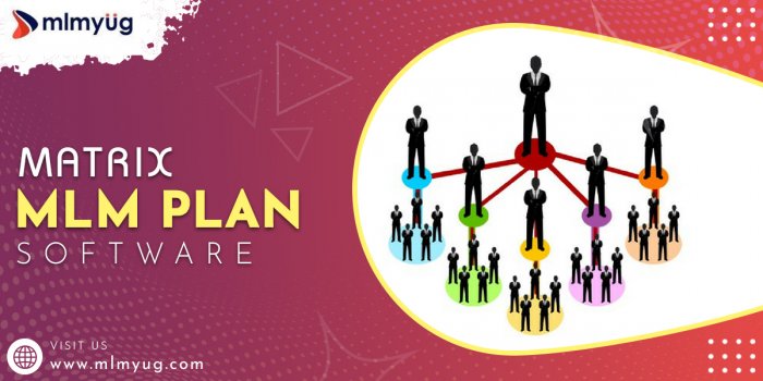 Best Binary Plan Software