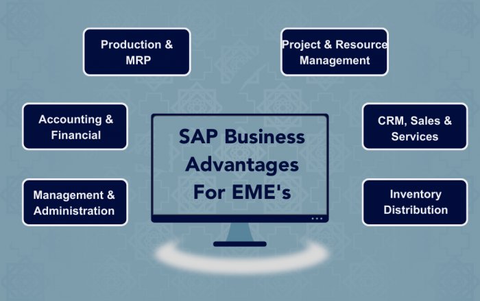 SAP Corporate Training: Solution for Boost Performance