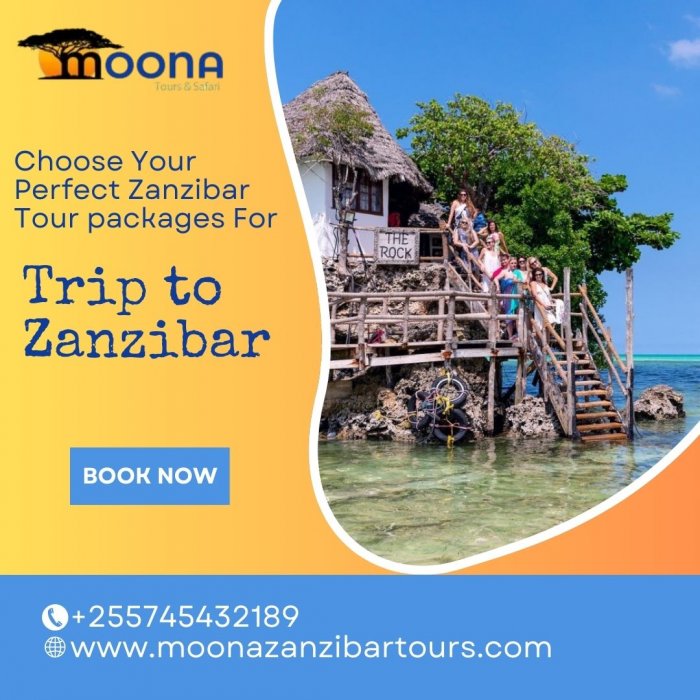Tour Operator In Zanzibar