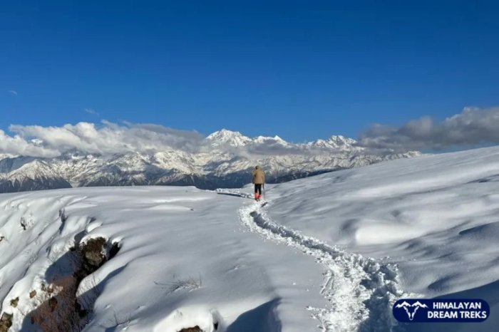 Dayara Bugyal Trek – Explore the Beautiful Himalayan Meadows