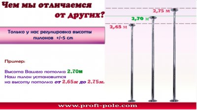 Buy Static Pole `Profi` for professional Pole Dance