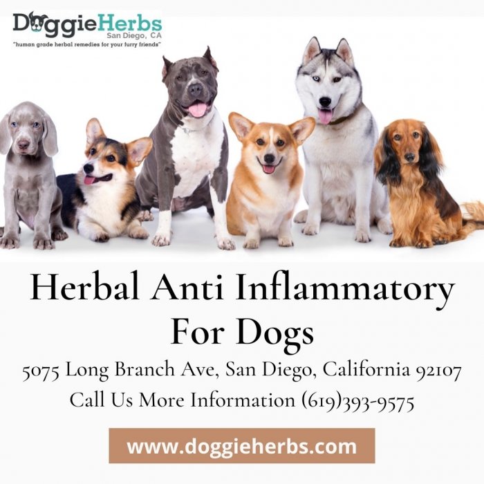 Buy Herbal remedies Supplements For Dogs