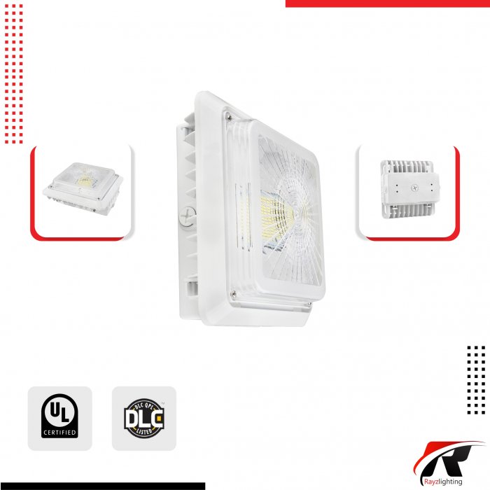 55W - LED Surface Mount Canopy Light