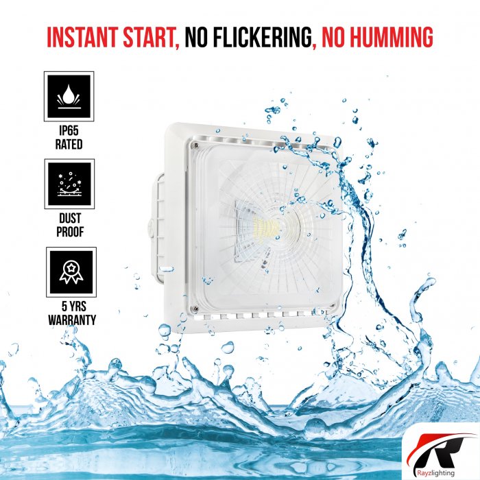 55W - LED Surface Mount Canopy Light